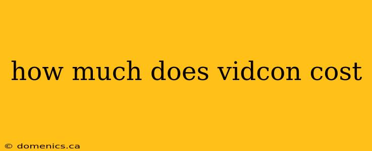 how much does vidcon cost
