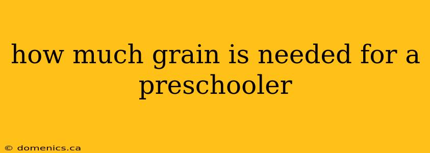 how much grain is needed for a preschooler