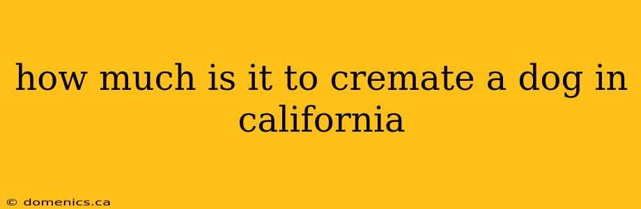 how much is it to cremate a dog in california