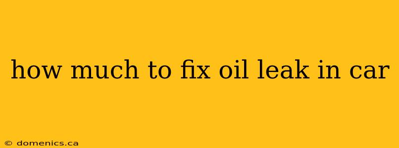 how much to fix oil leak in car