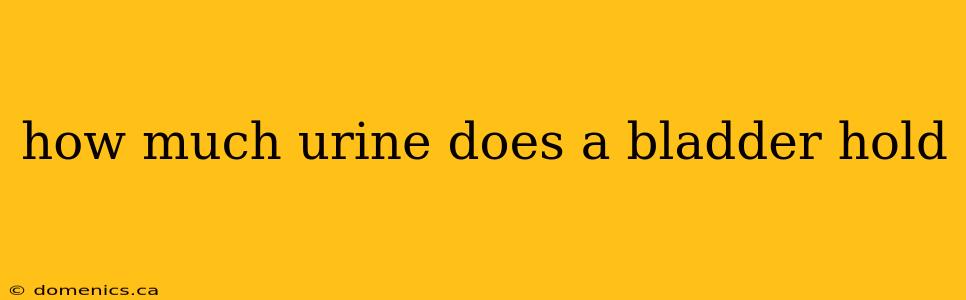 how much urine does a bladder hold