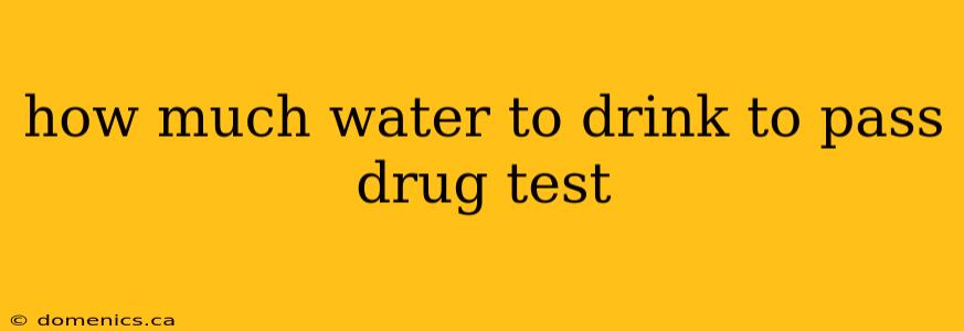 how much water to drink to pass drug test