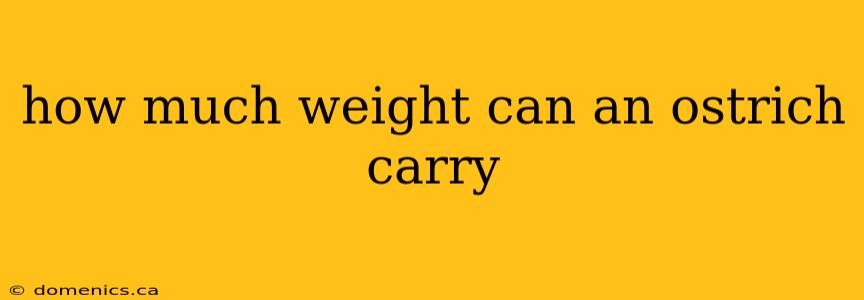 how much weight can an ostrich carry