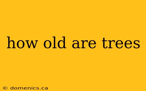 how old are trees