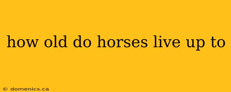 how old do horses live up to