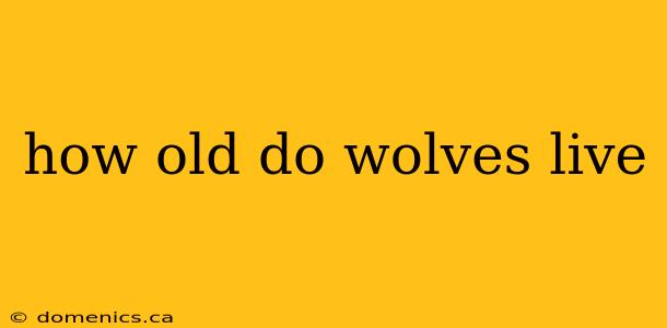 how old do wolves live