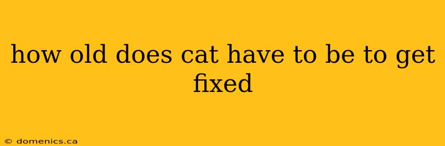 how old does cat have to be to get fixed