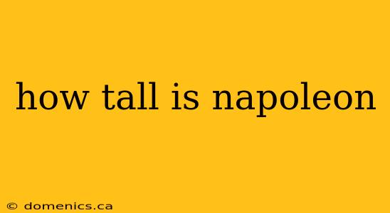 how tall is napoleon