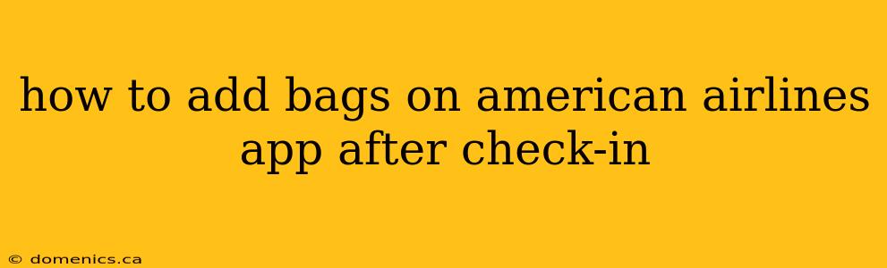 how to add bags on american airlines app after check-in