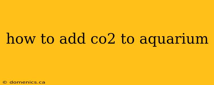 how to add co2 to aquarium