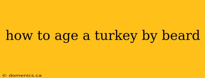 how to age a turkey by beard