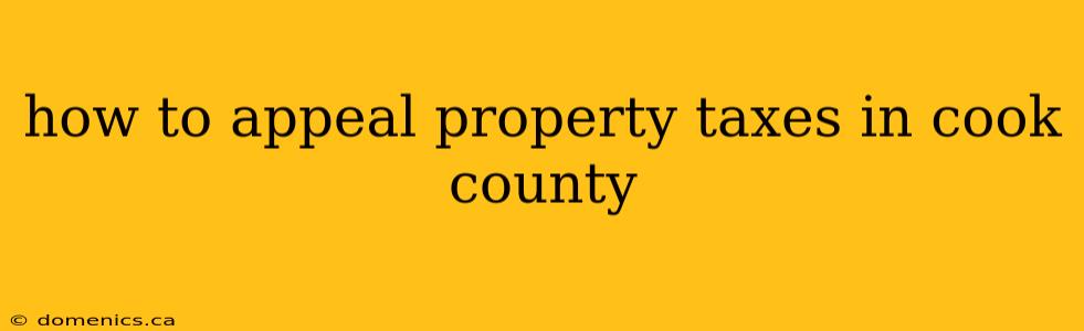 how to appeal property taxes in cook county