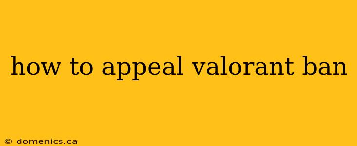 how to appeal valorant ban