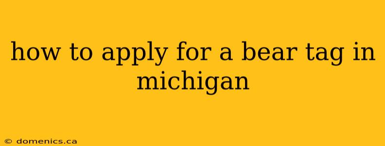 how to apply for a bear tag in michigan