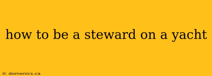 how to be a steward on a yacht