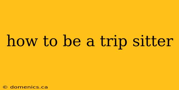 how to be a trip sitter