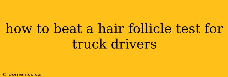 how to beat a hair follicle test for truck drivers