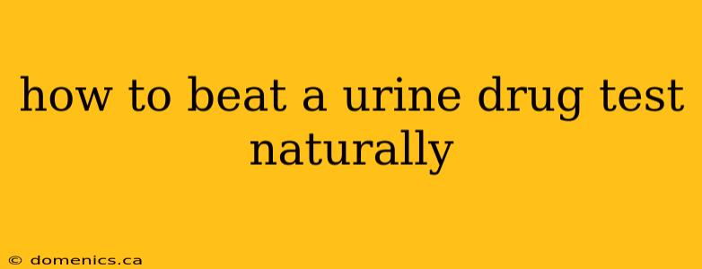 how to beat a urine drug test naturally