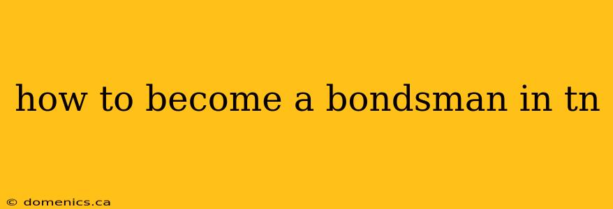 how to become a bondsman in tn