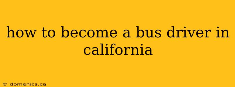 how to become a bus driver in california