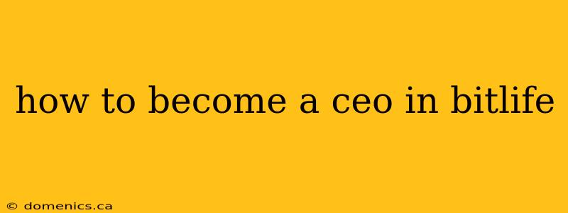 how to become a ceo in bitlife