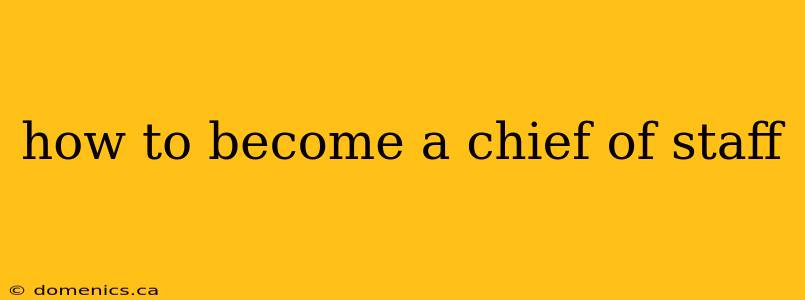 how to become a chief of staff