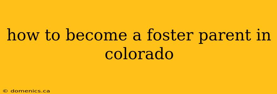 how to become a foster parent in colorado