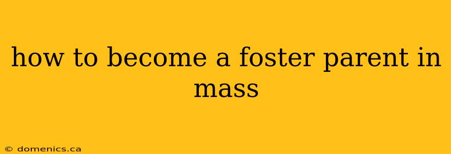 how to become a foster parent in mass