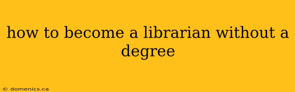 how to become a librarian without a degree