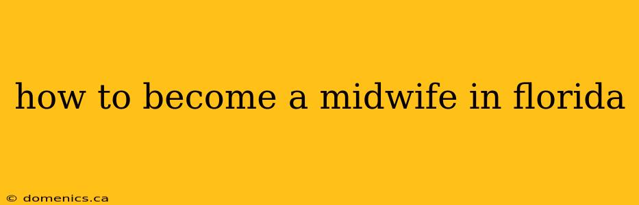 how to become a midwife in florida