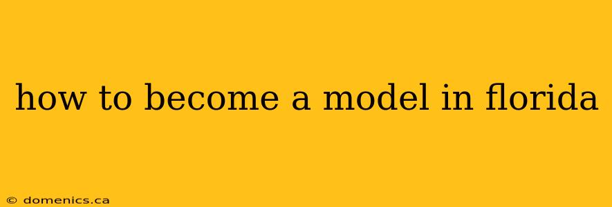 how to become a model in florida