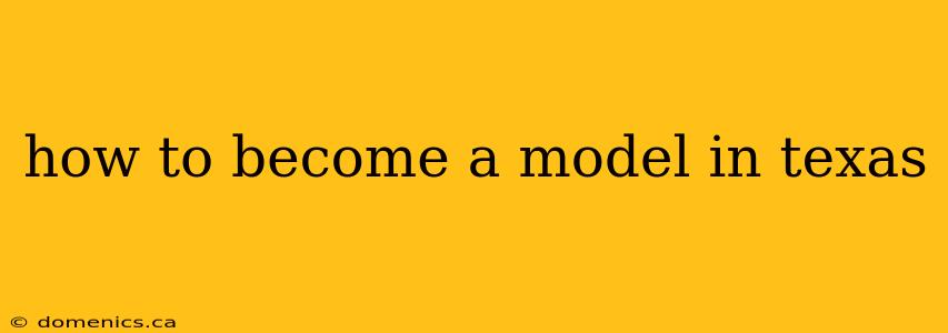 how to become a model in texas