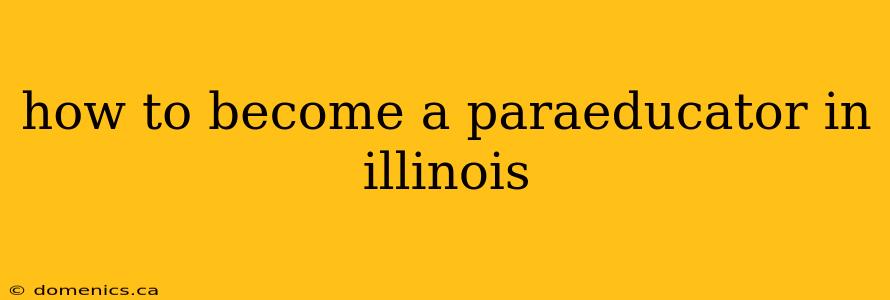 how to become a paraeducator in illinois