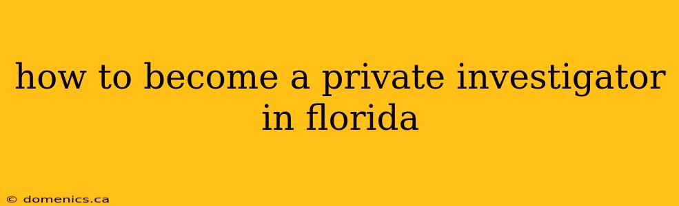 how to become a private investigator in florida