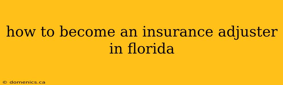 how to become an insurance adjuster in florida