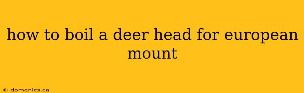 how to boil a deer head for european mount