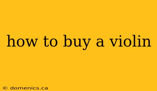 how to buy a violin