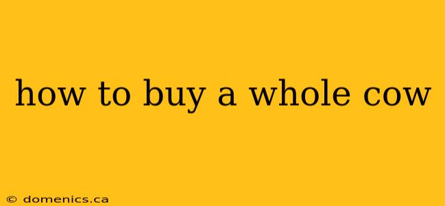 how to buy a whole cow