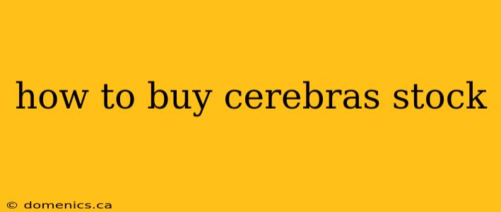 how to buy cerebras stock