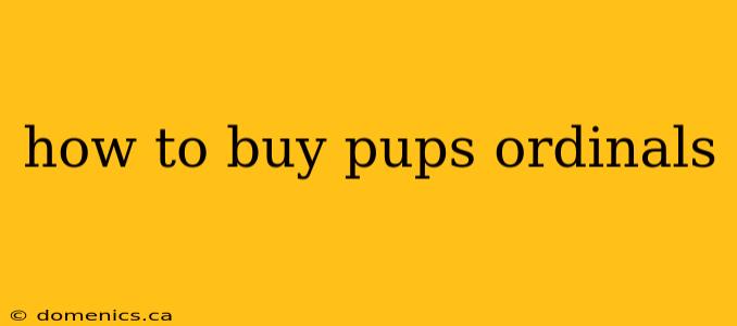 how to buy pups ordinals