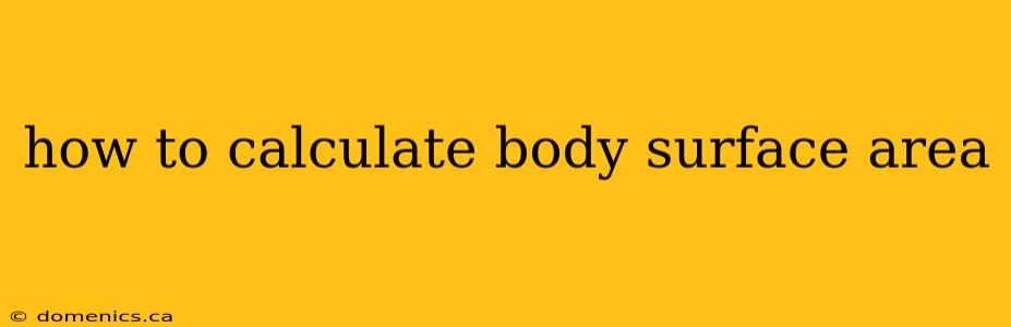 how to calculate body surface area