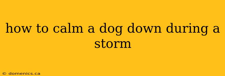 how to calm a dog down during a storm