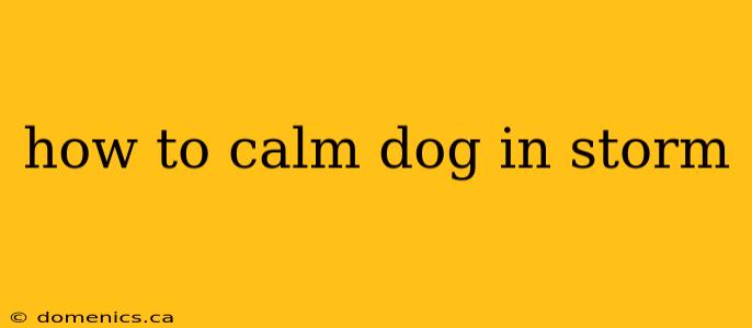 how to calm dog in storm