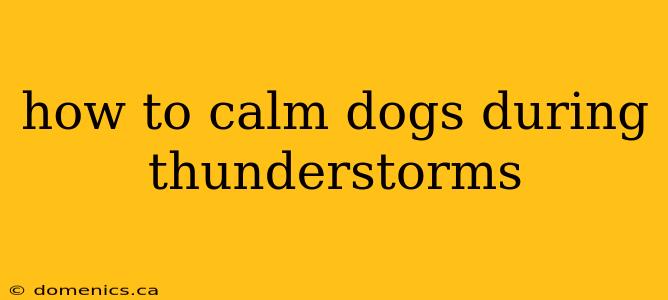 how to calm dogs during thunderstorms