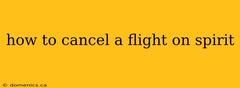 how to cancel a flight on spirit