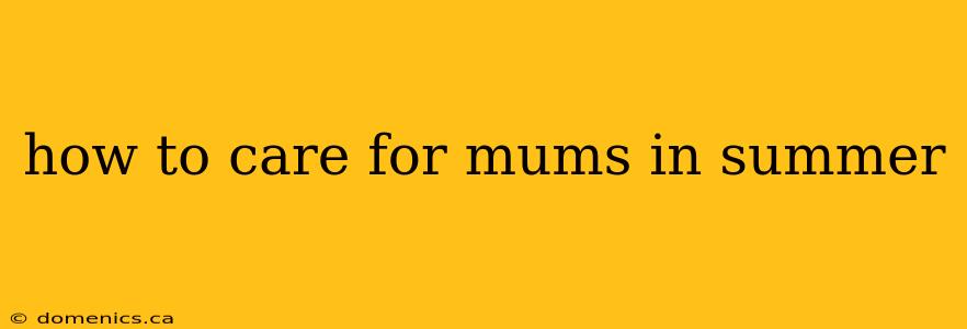 how to care for mums in summer