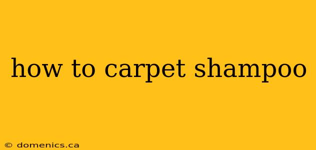 how to carpet shampoo