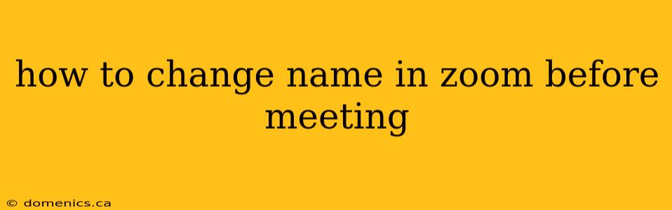 how to change name in zoom before meeting