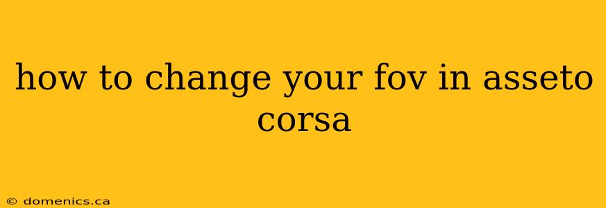 how to change your fov in asseto corsa