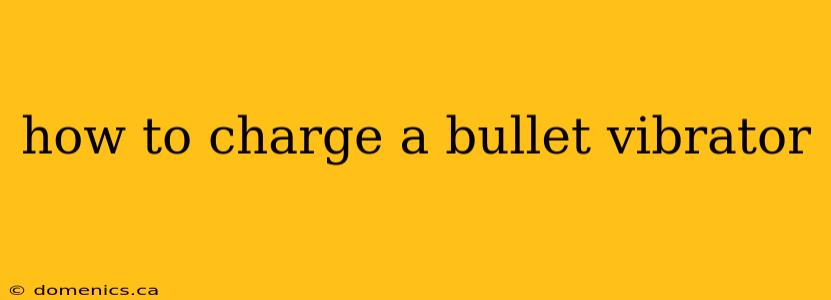 how to charge a bullet vibrator